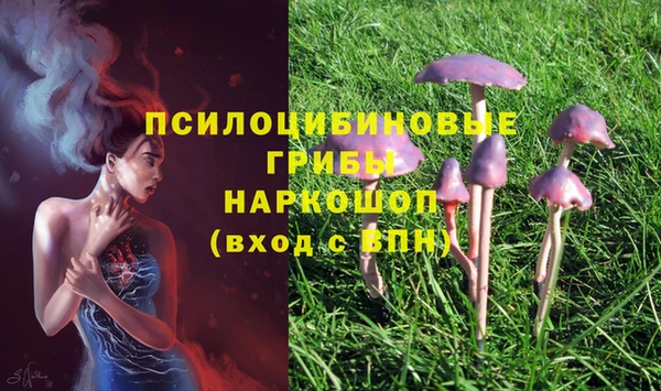 apvp Алексеевка