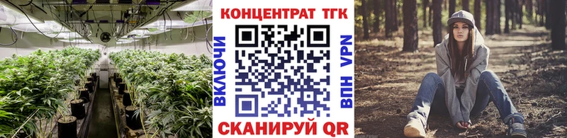 дарк нет клад  Ленинск-Кузнецкий  ТГК концентрат 