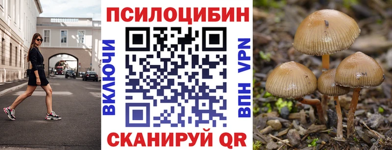 Галлюциногенные грибы Cubensis Ленинск-Кузнецкий