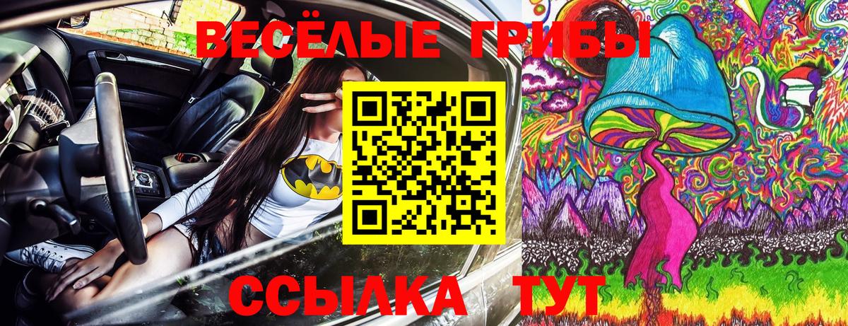Псилоцибиновые грибы GOLDEN TEACHER  Галлюциногенные грибы мицелий  Ленинск-Кузнецкий  Вход с VPN 